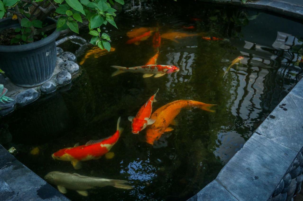 Sekar Waru Homestay Sanur Exteriér fotografie
